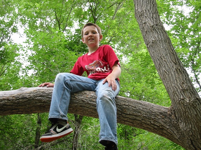 [Cascade springs (54)[2].jpg]