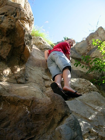 [the gardens (4)[2].jpg]