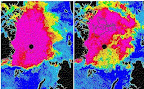 Arctic ice concentration in 2005 and 2006