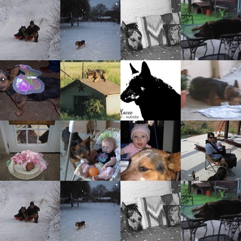 [collage3[3].jpg]
