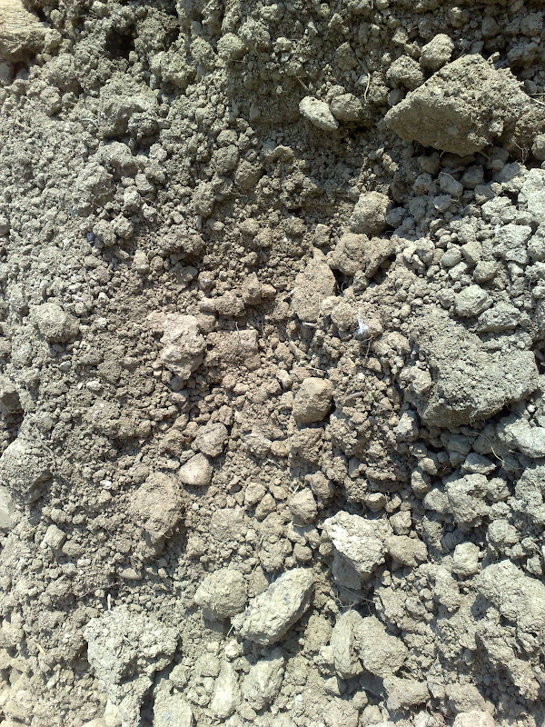 27042008177.jpg