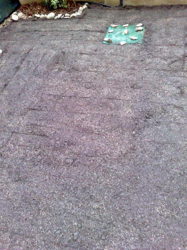 28042008181.jpg