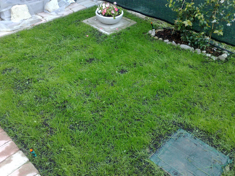 07062008329.jpg