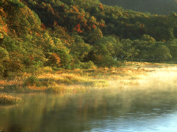Beautiful Windows wallpapers d7.jpg