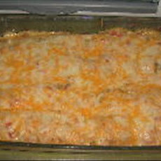 Creamy Chicken Enchiladas