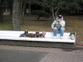 Dogs in Yoyogi Park Dogs in Yoyogi Park
