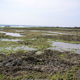 More of Haruta-hama
