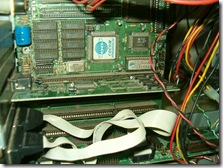 HPIM6029
