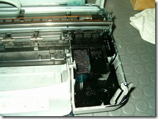 HPIM3556 tinta tinta