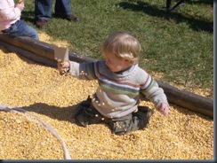 miles cornpit