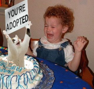 Funny Cat Pictures Topic Cat_cake