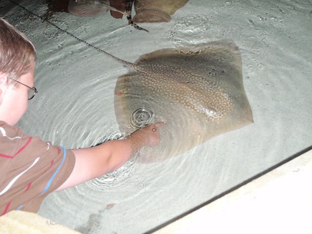 [P7210021[4].jpg]