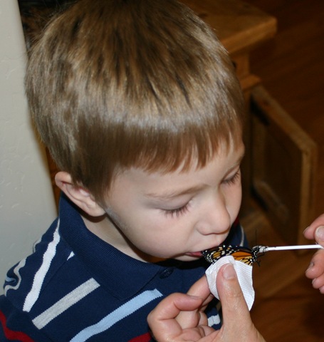 [080918Butterfly Go 010[5].jpg]