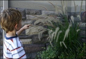 080809 Boys in the Yard 071