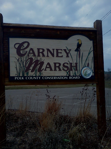 Carney Marsh