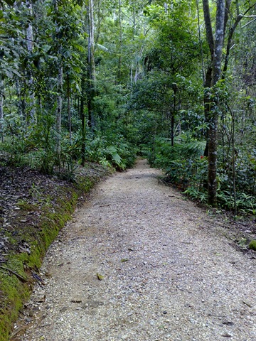 [02042008738[5].jpg]