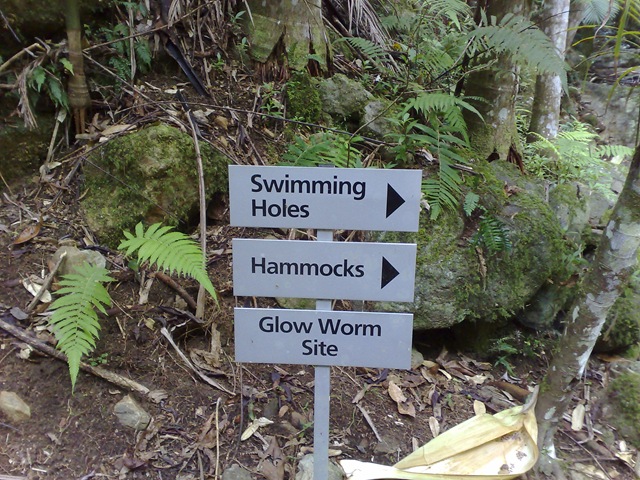 [02042008754[2].jpg]