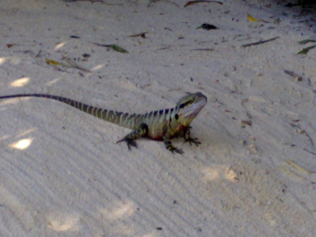 [03042008823[2].jpg]