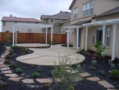 backyard 1