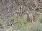 DSCN3306.JPG