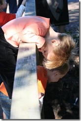 IMG_8663 (Medium)