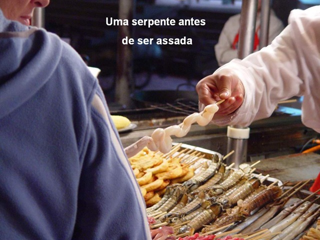 [Lanchinho2serpentescrua3.jpg]