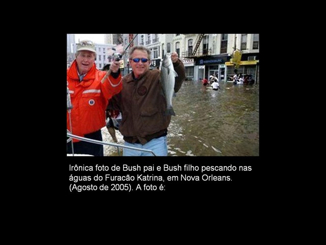 [fotos7falsa7.jpg]