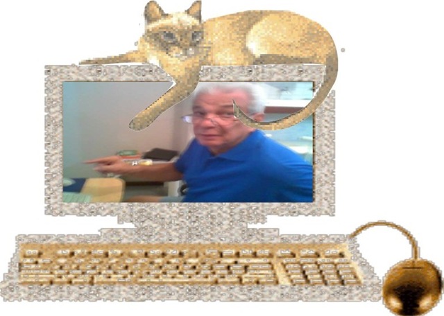 [gatos6.jpg]