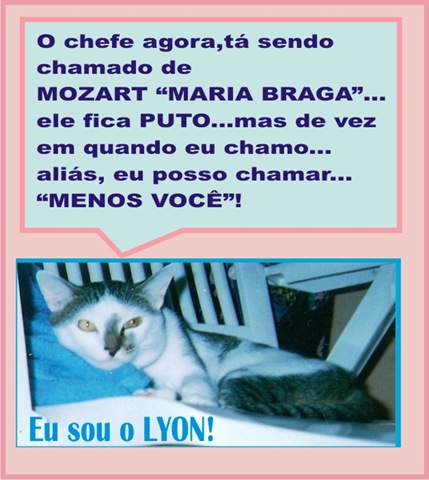 [mozartreceitafinal28.jpg]
