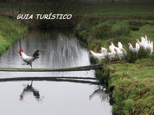 [profissoes13.jpg]