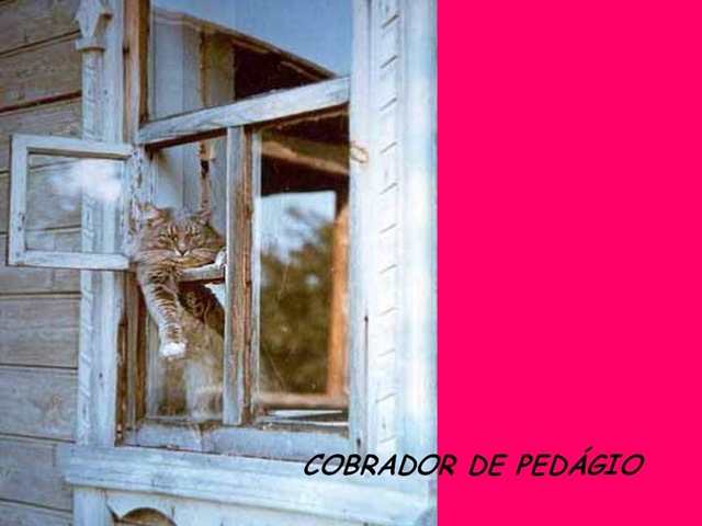 [profissoes53.jpg]