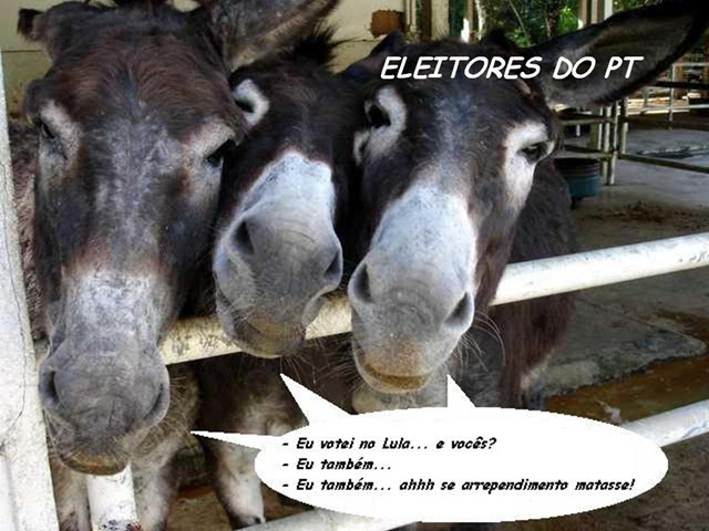 [profissoes93.jpg]