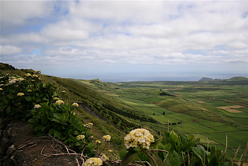 Patches of green... - Island of Terceira