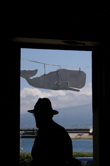 View from Peters