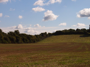 harvested_field.JPG 