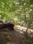 S4300454.JPG 
