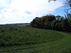 S4300456.JPG 