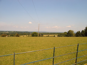S4302062.JPG Field