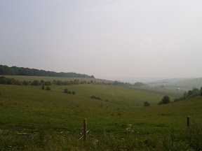S4302085.JPG 