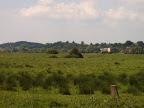 S4302072.JPG Amberley Wetlands