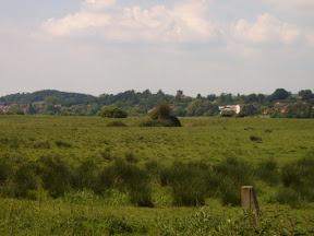 S4302072.JPG Amberley Wetlands