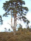 S4300065.JPG 
