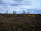 S4300061.JPG 
