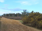 S4300063.JPG 