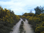 S4300055.JPG 