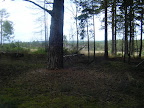 DSCF1085.JPG 