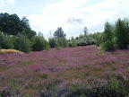 DSCF1086.JPG 