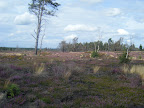 DSCF1087.JPG 