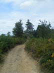 DSCF1090.JPG 