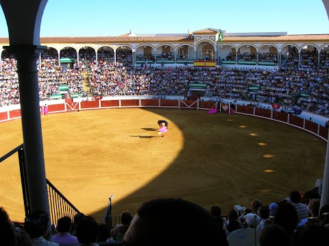 Hoy actuamos en la corrida de toros televisada por Canal Sur TV (Curro Díaz, Luque y Julio Benítez "El Cordobés")